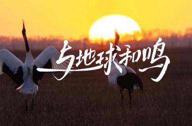 华为世界地球日短片发布，快去开启“与地球和鸣”的空间音频之旅吧